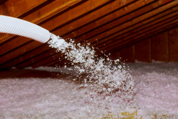 Best Attic Insulation Installation  in Lamar, TX