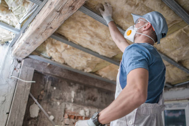 Best Insulation Replacement Services  in Lamar, TX