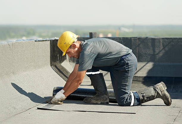 Best Insulation Inspection Services  in Lamar, TX