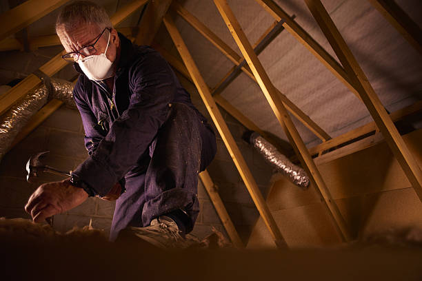 Best Garage Insulation Installation  in Lamar, TX