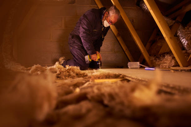 Best Spray Foam Insulation  in Lamar, TX