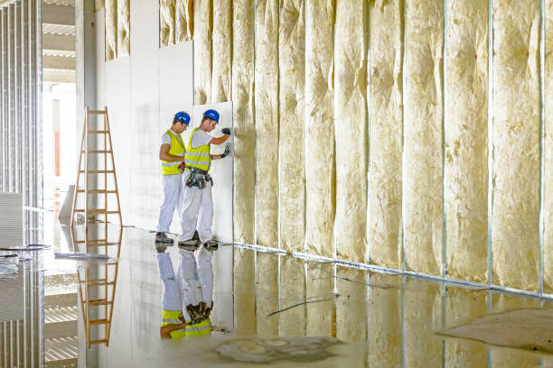 Best Insulation for New Construction  in Lamar, TX